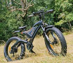 vélo électrique fat bike