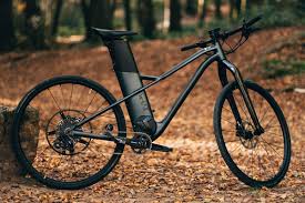 vélo assistance électrique