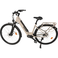 vtc electrique nakamura