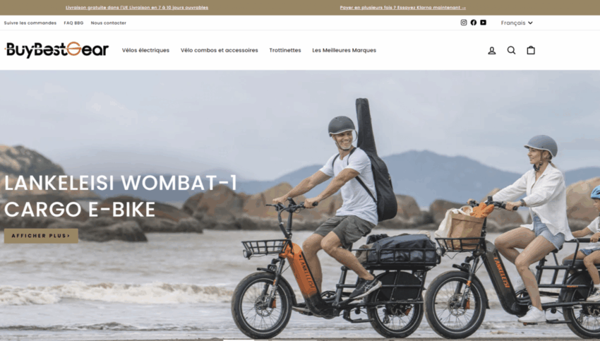 velo electrique chinois