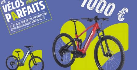 vélo électrique pliant intersport