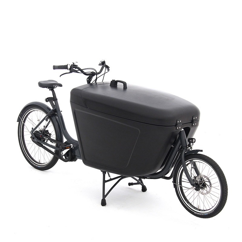 vélo cargo électrique occasion