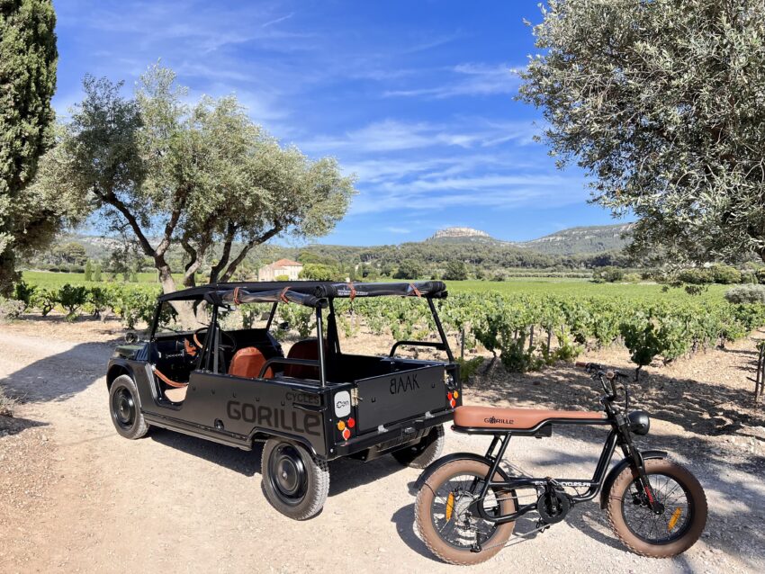 velo electrique gorille