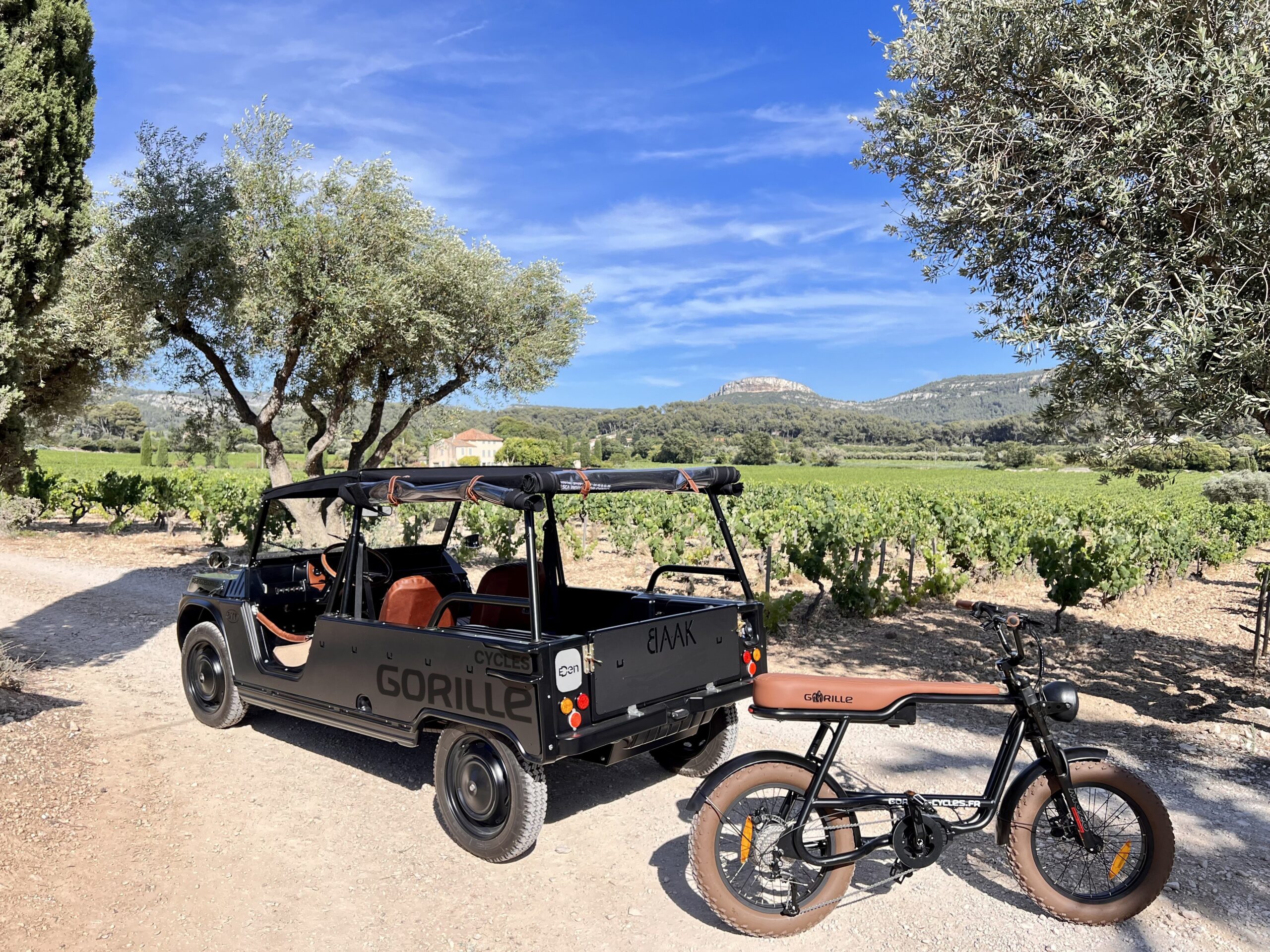 velo electrique gorille