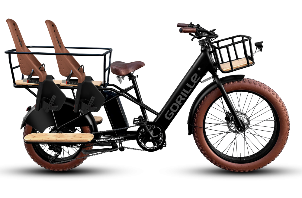 velos electrique
