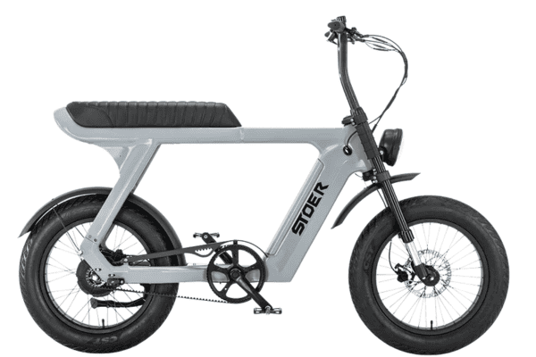 velo biplace electrique